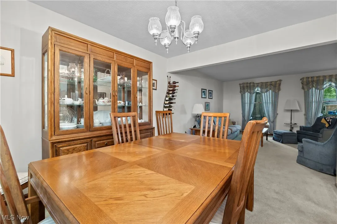 1009 Washington Drive, Grafton, Ohio,MLS Now Listing ID