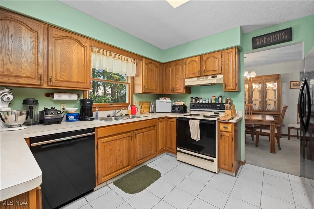 1009 Washington Drive, Grafton, Ohio,MLS Now Listing ID