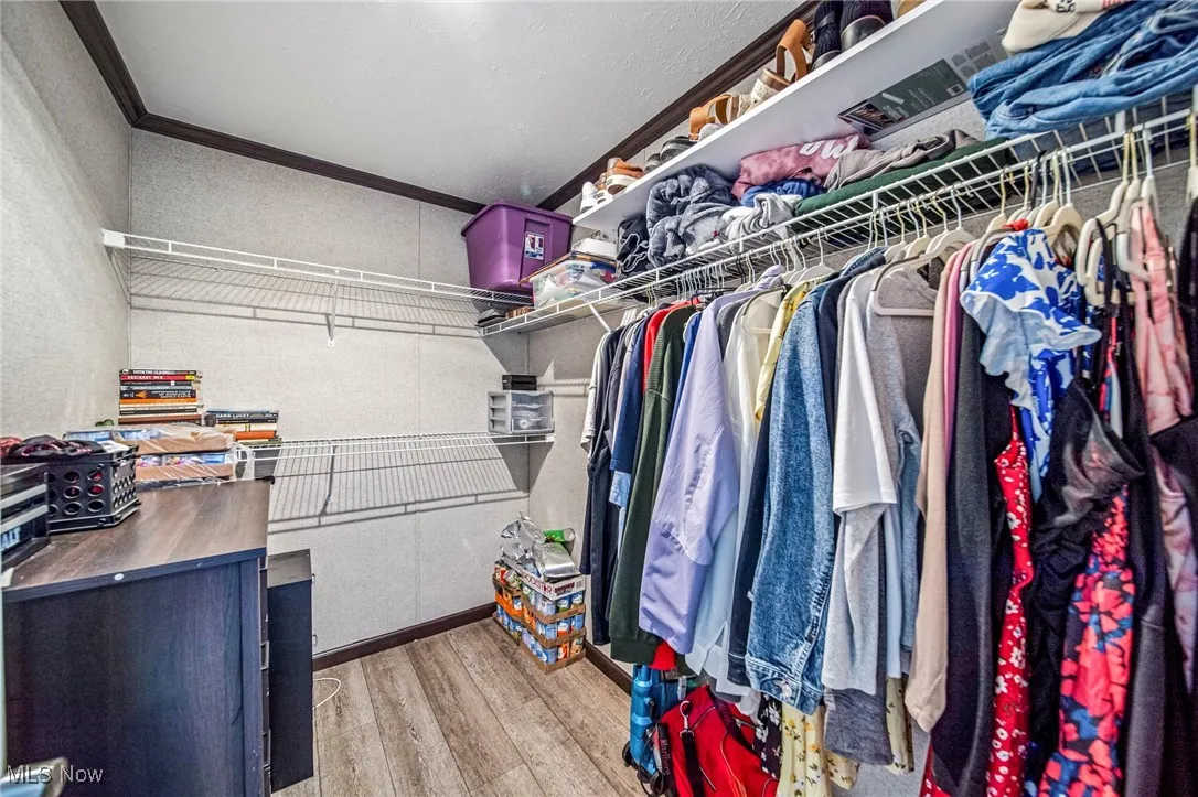 Walk in closet with wood finished floors