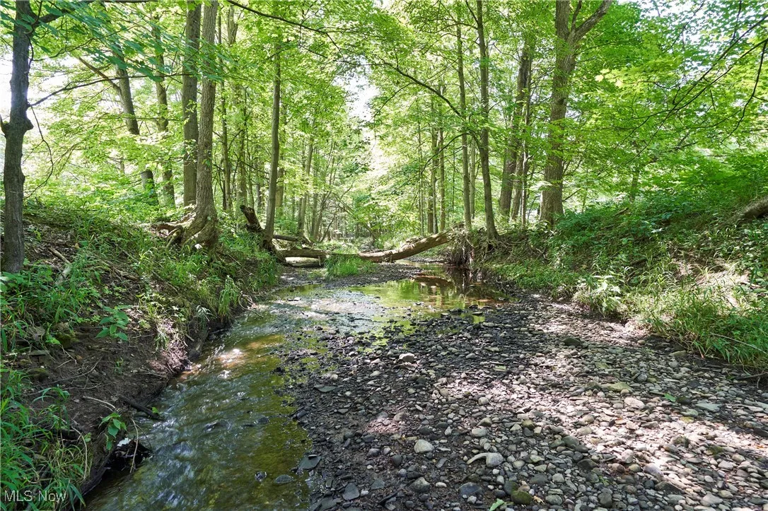 Creek