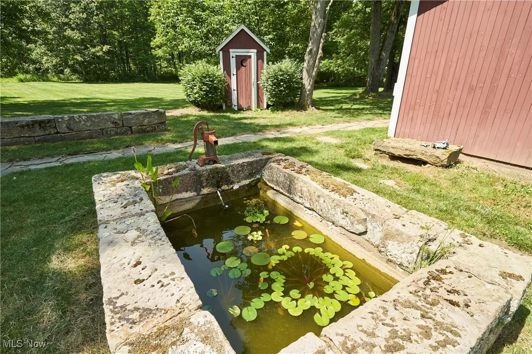 Fish Pond