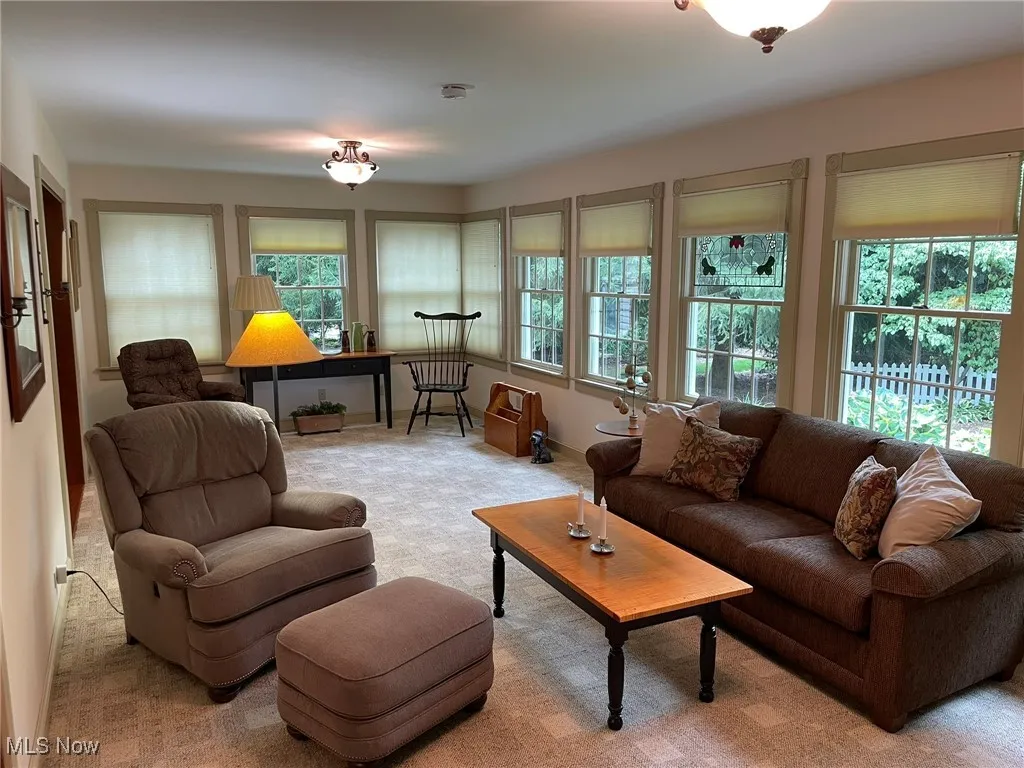 Living room featuring light carpet