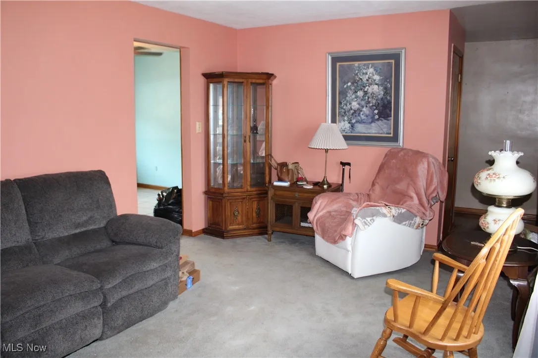 Living area with carpet floors