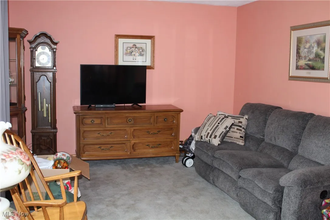 Living room featuring carpet