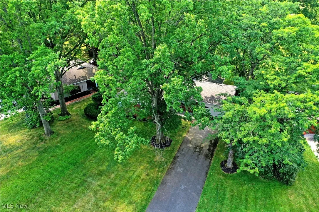 225 Sleepy Hollow Drive, Canfield, Ohio,MLS Now Listing ID