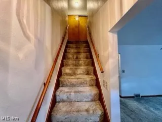 Stairway with carpet flooring
