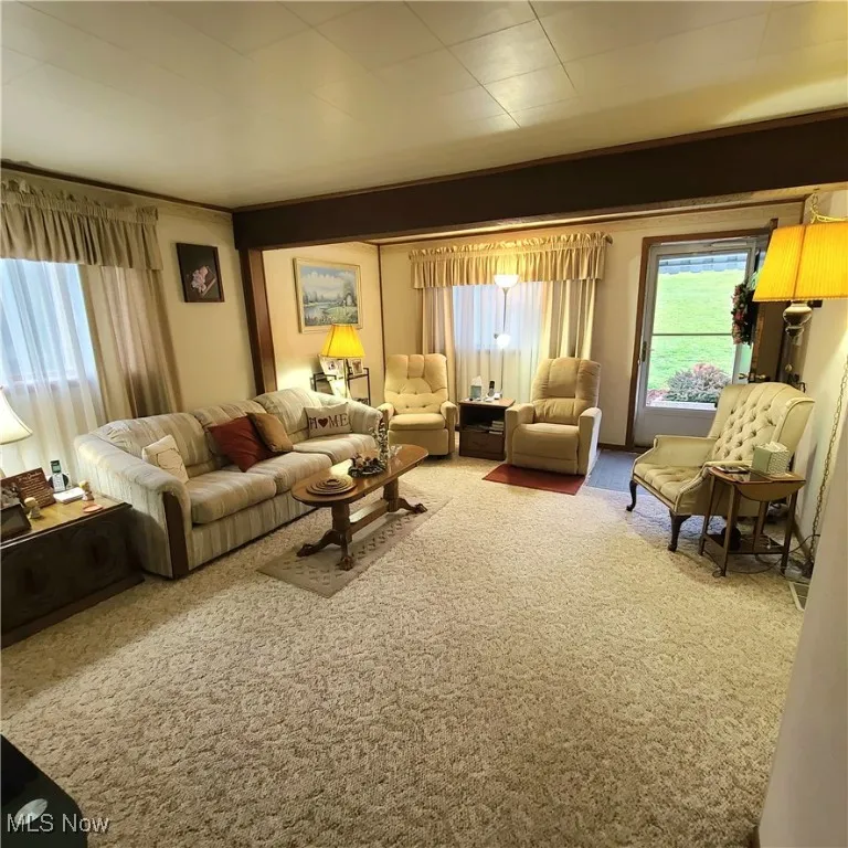 113 Roby Street, Adena, Ohio,MLS Now Listing ID