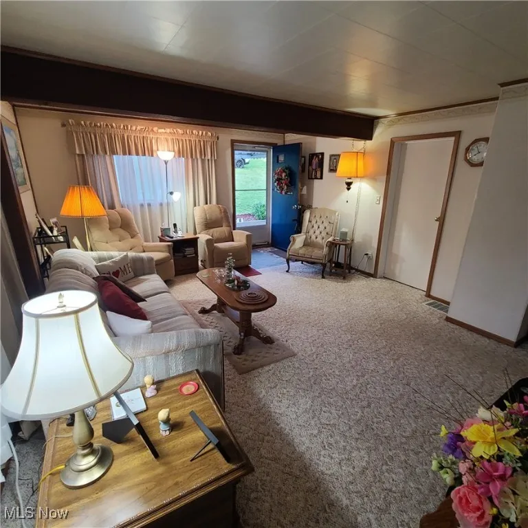 113 Roby Street, Adena, Ohio,MLS Now Listing ID
