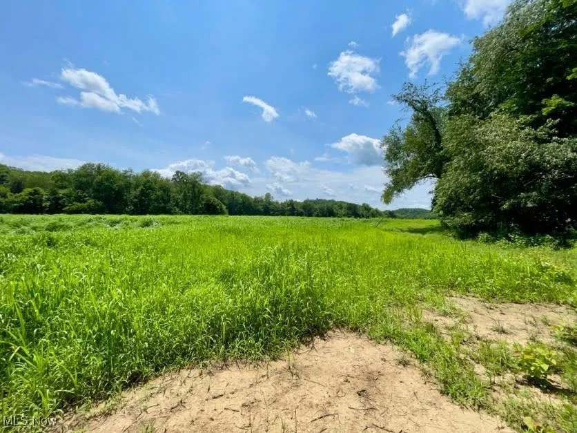 View of nature with rural landscape