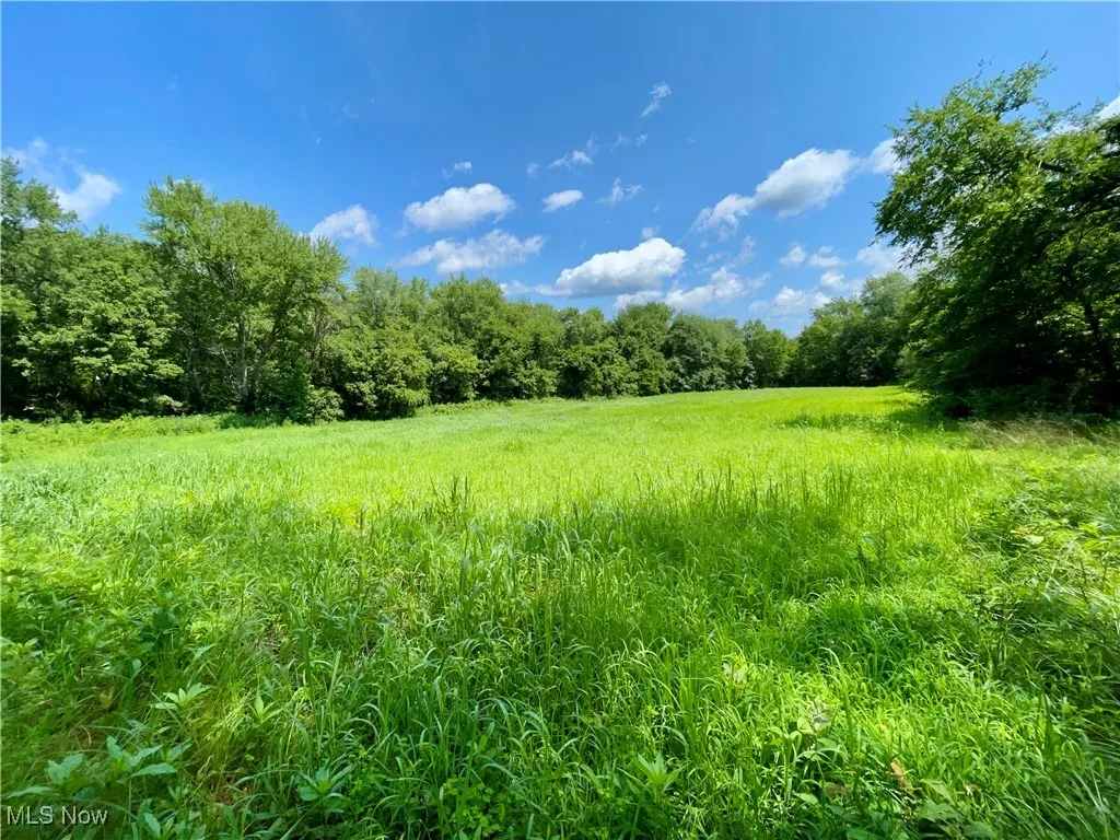 View of wooded area featuring a view of rural / pastoral area