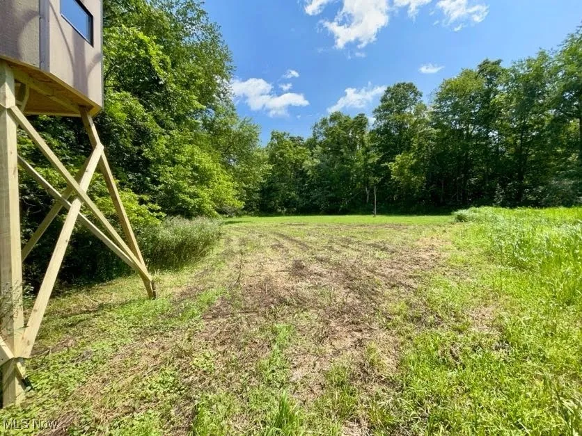 View of yard with a wooded view