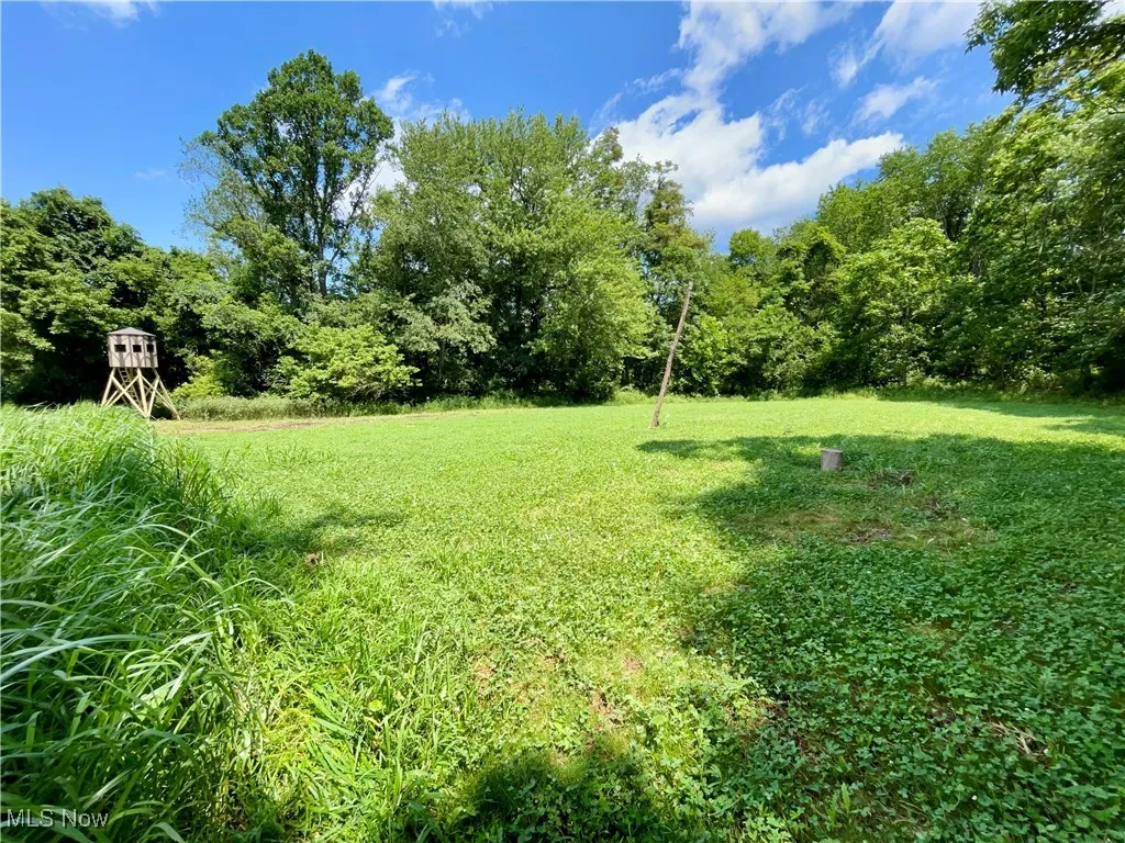 View of grassy yard