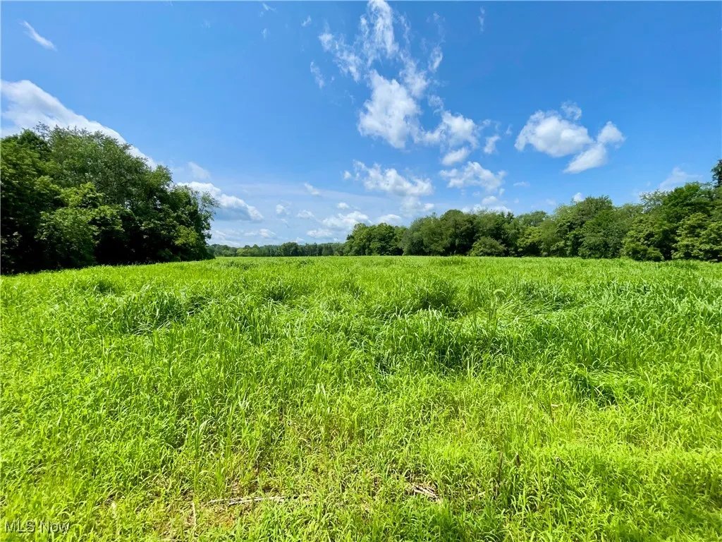 View of nature featuring rural landscape