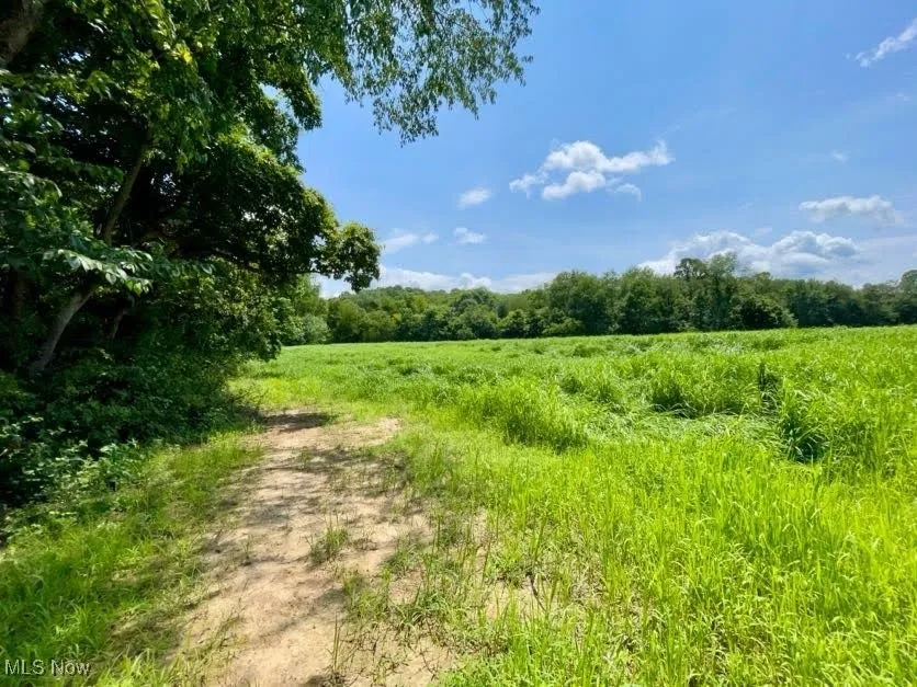 View of tree filled area featuring a view of countryside