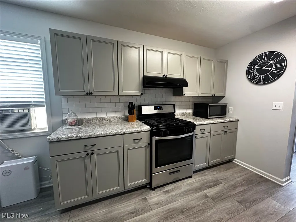 Kitchen featuring gray cabinetry, stainless steel appliances, under cabinet range hood, tasteful backsplash, and light wood-style flooring