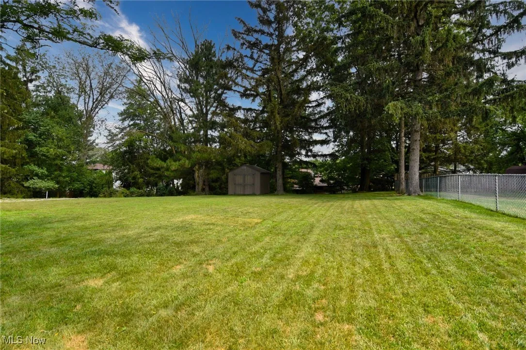 Back yard