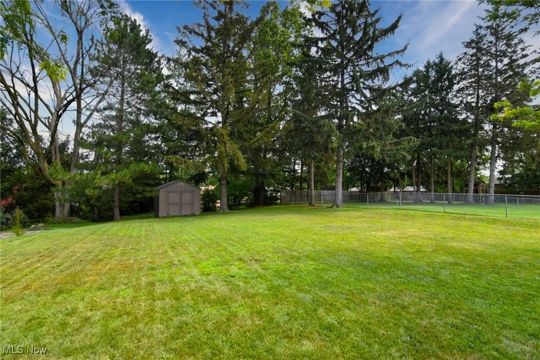Back yard shed