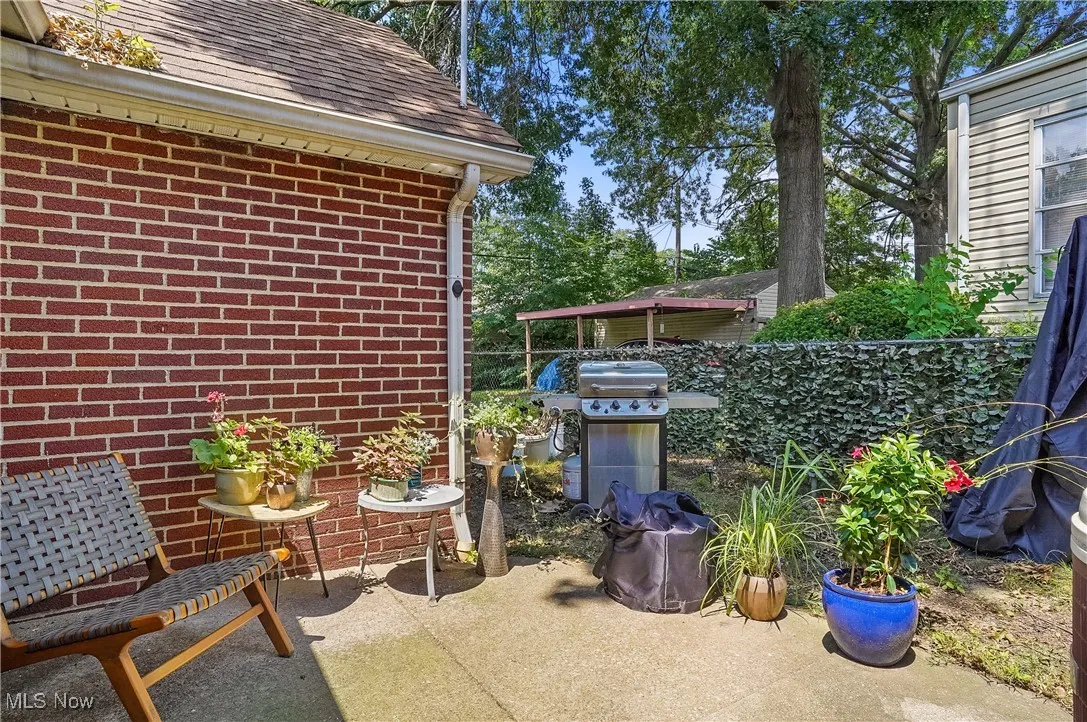 Back patio space