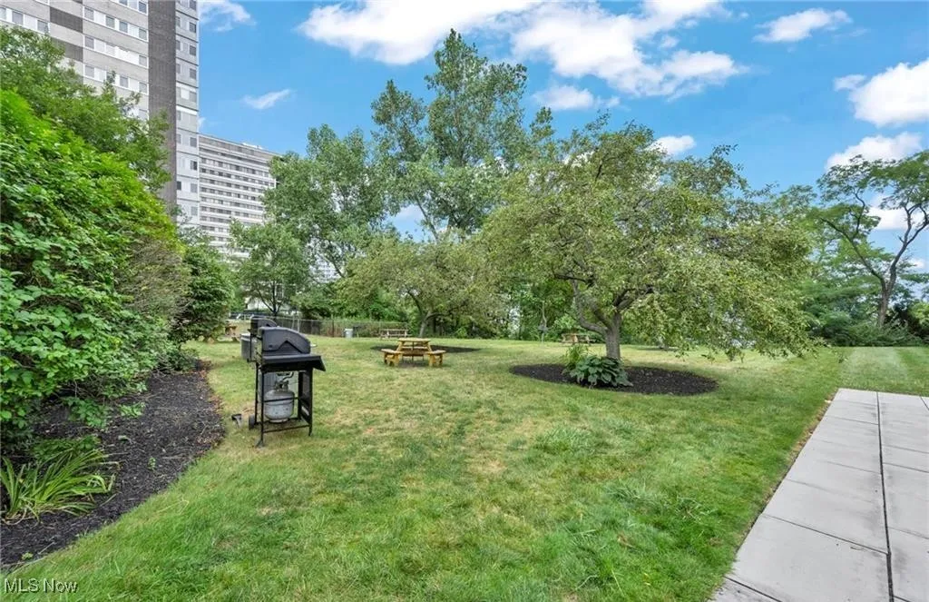 Building picnic area