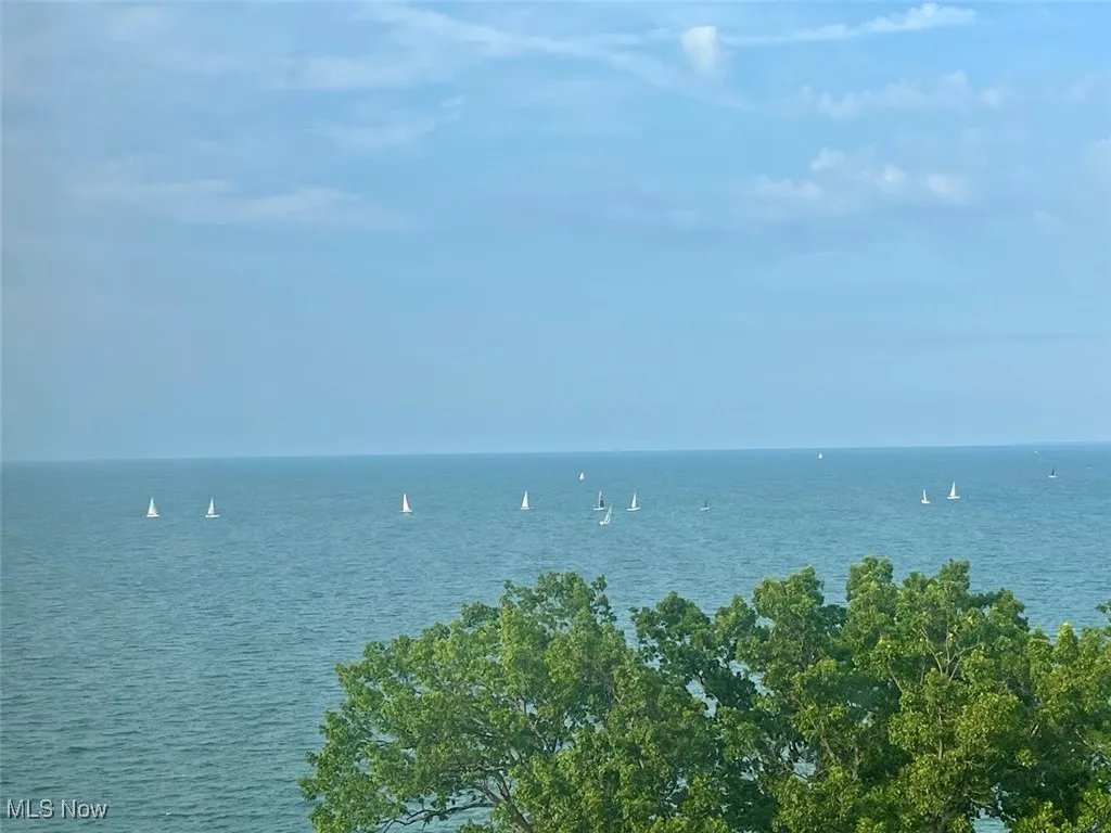 Lake Erie and downtown view from unit