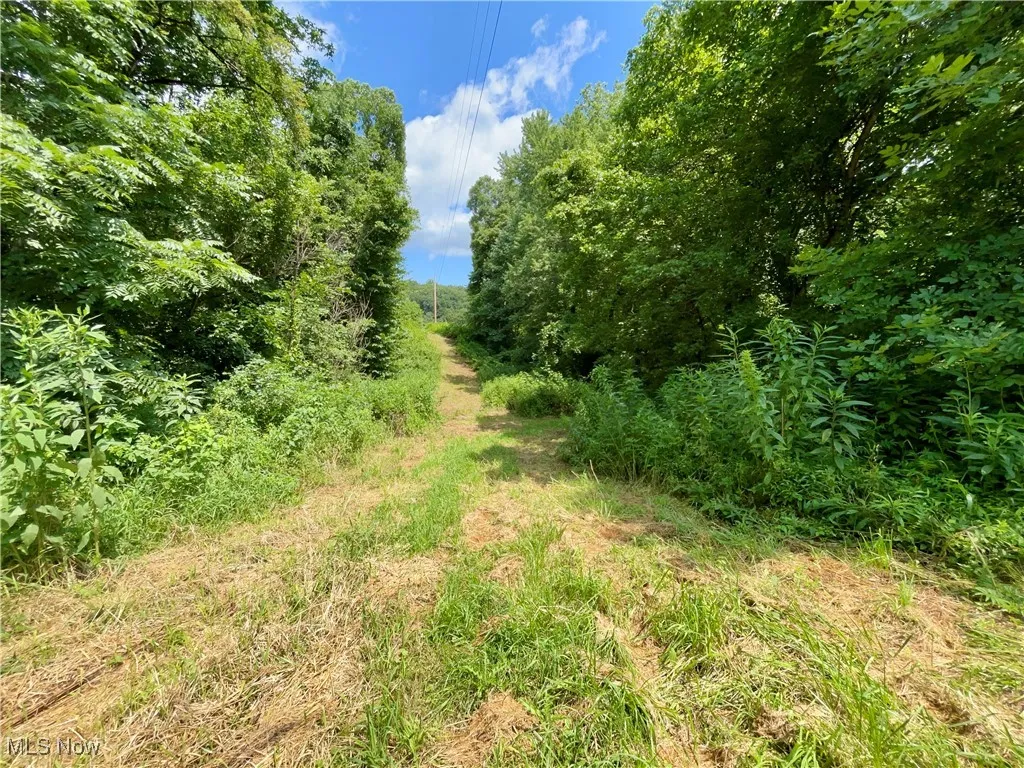 View of undeveloped land