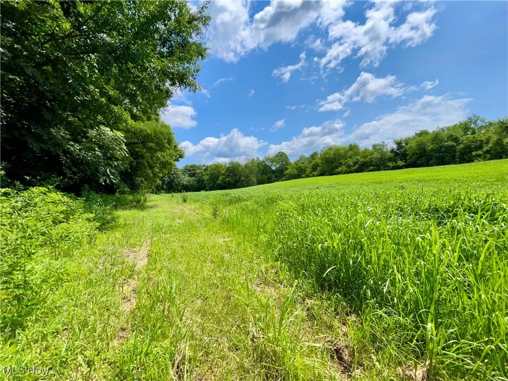 View of undeveloped land with rural landscape