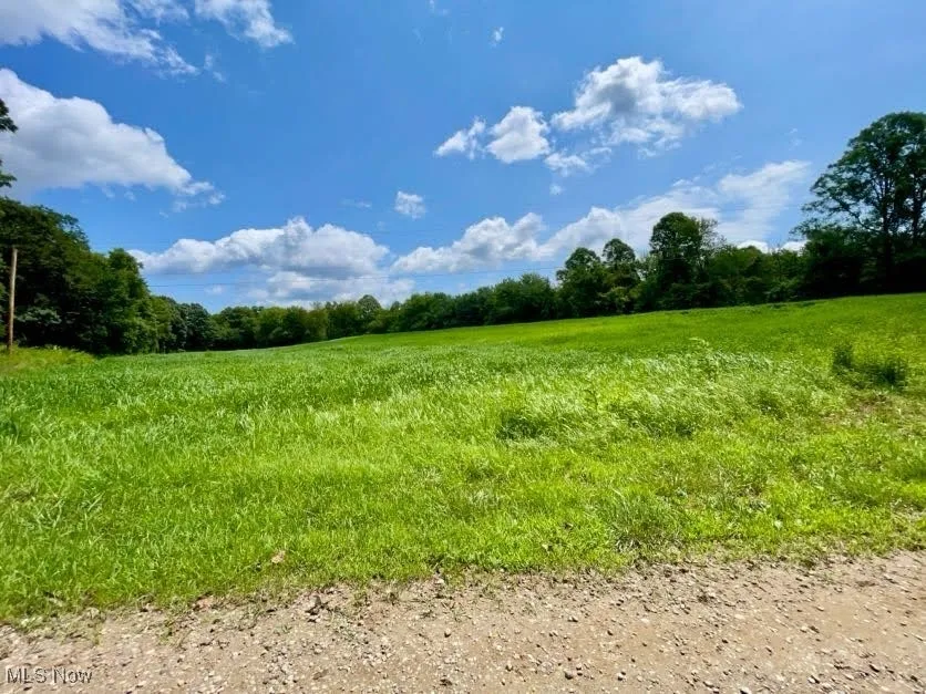 View of local wilderness with rural landscape