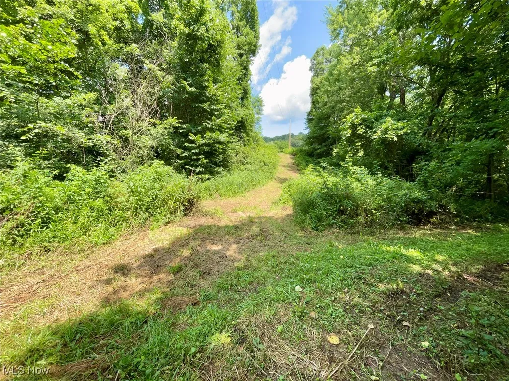 View of undeveloped land