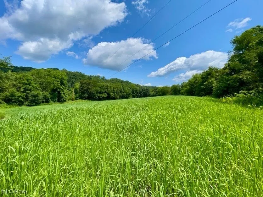 View of tree filled area featuring a view of countryside