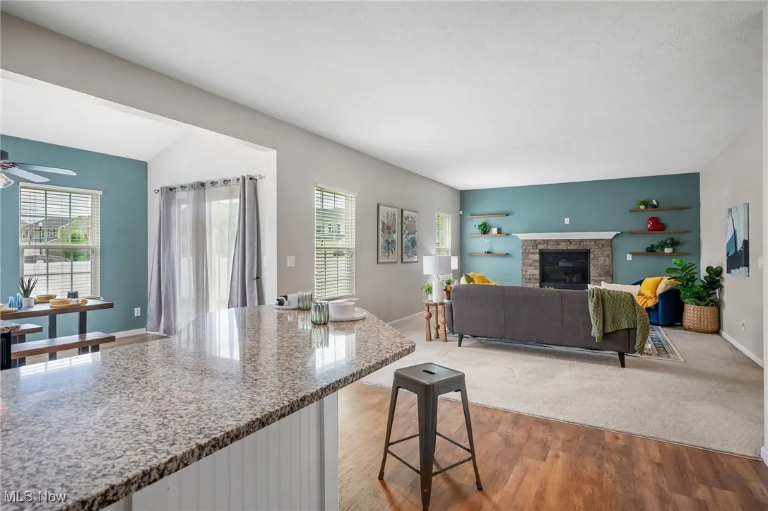 487 N Ashwood Lane, Painesville, Ohio 44077,MLS Now Listing ID
