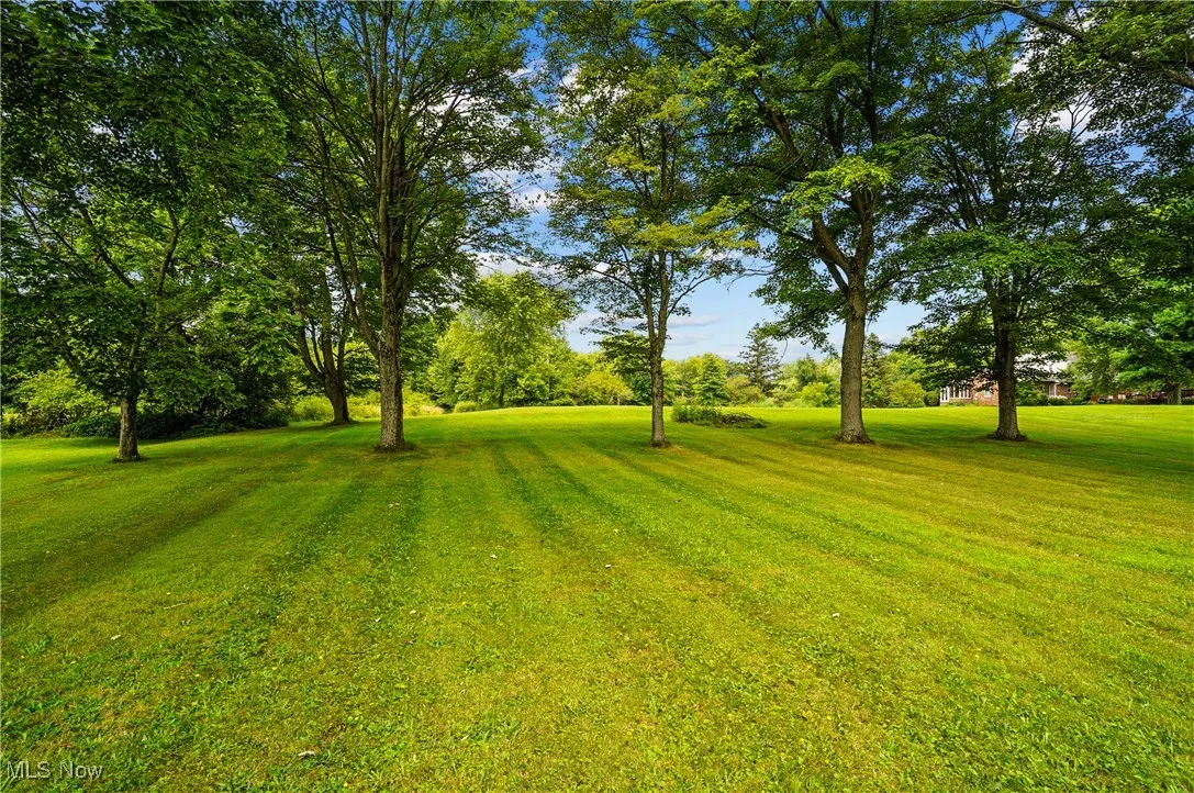 View of grassy yard