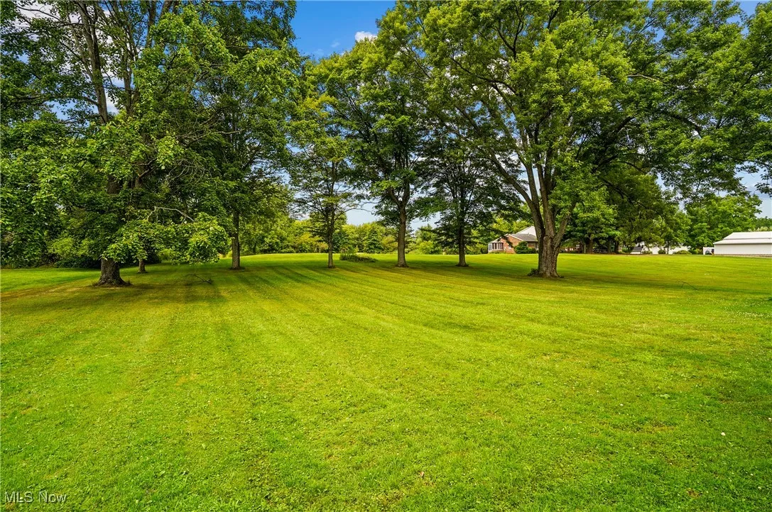 View of grassy yard featuring view of wooded area