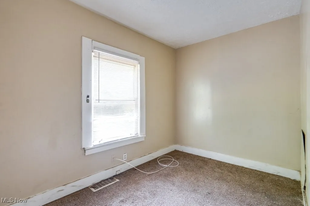 Carpeted spare room with healthy amount of natural light
