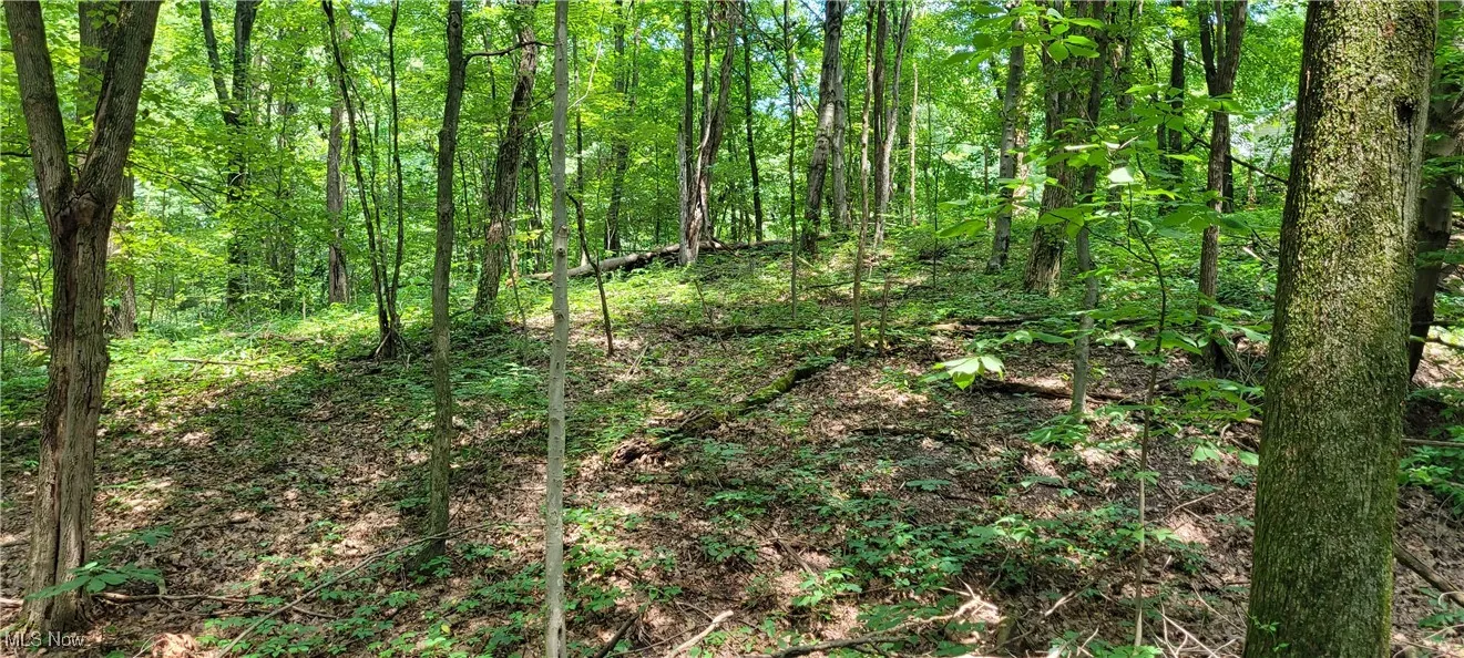 4343 Oak Ridge Road, Sugarcreek, Ohio,MLS Now Listing ID