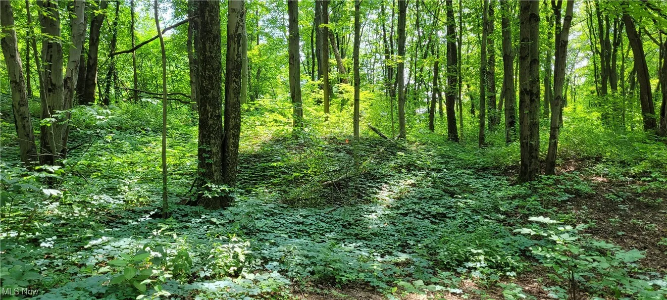 4343 Oak Ridge Road, Sugarcreek, Ohio,MLS Now Listing ID
