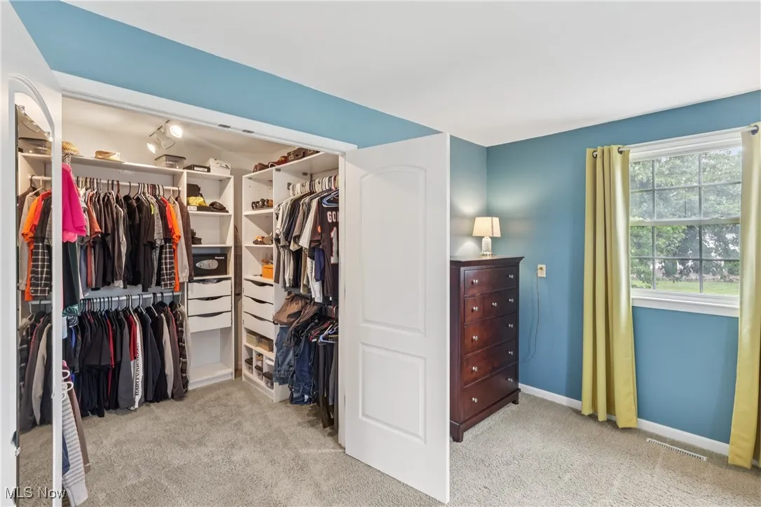 Primary bedroom featuring a walk-in closet and carpet flooring