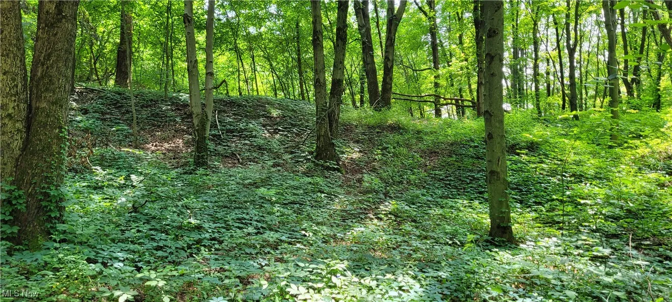 4343 Oak Ridge Road, Sugarcreek, Ohio,MLS Now Listing ID