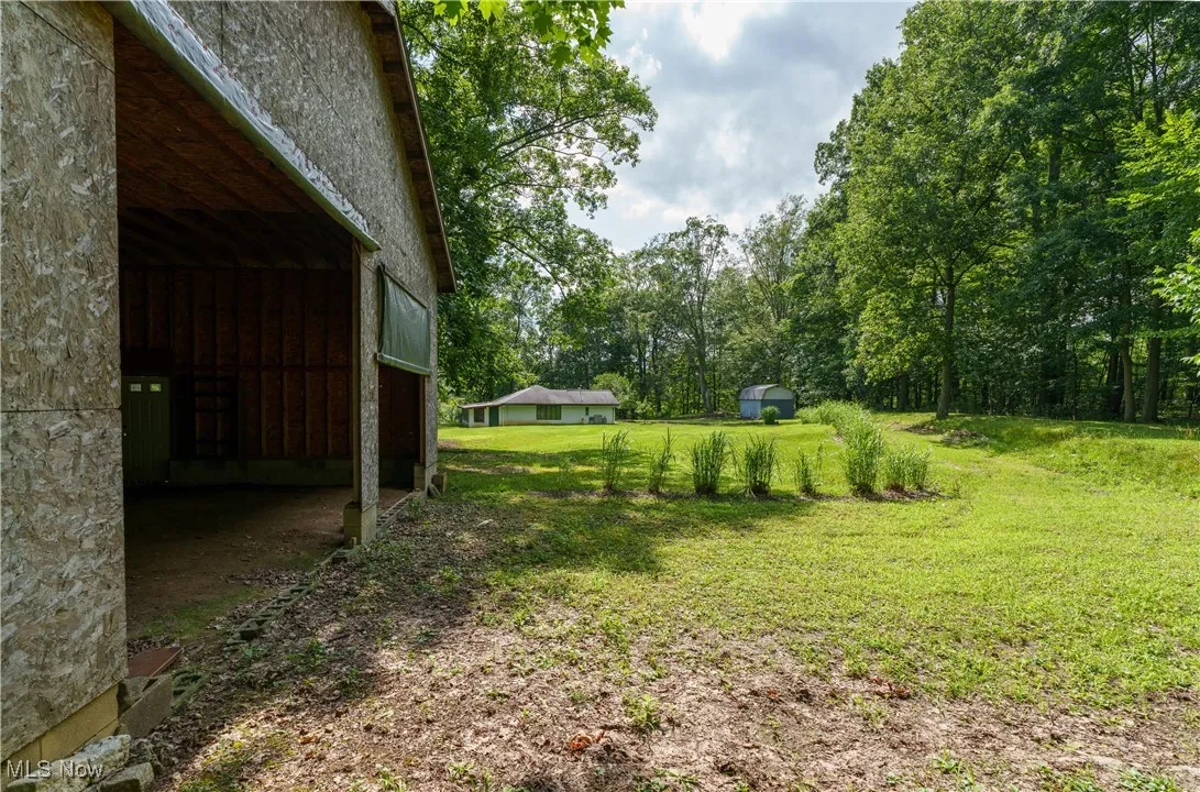 View of grassy yard with a storage unit