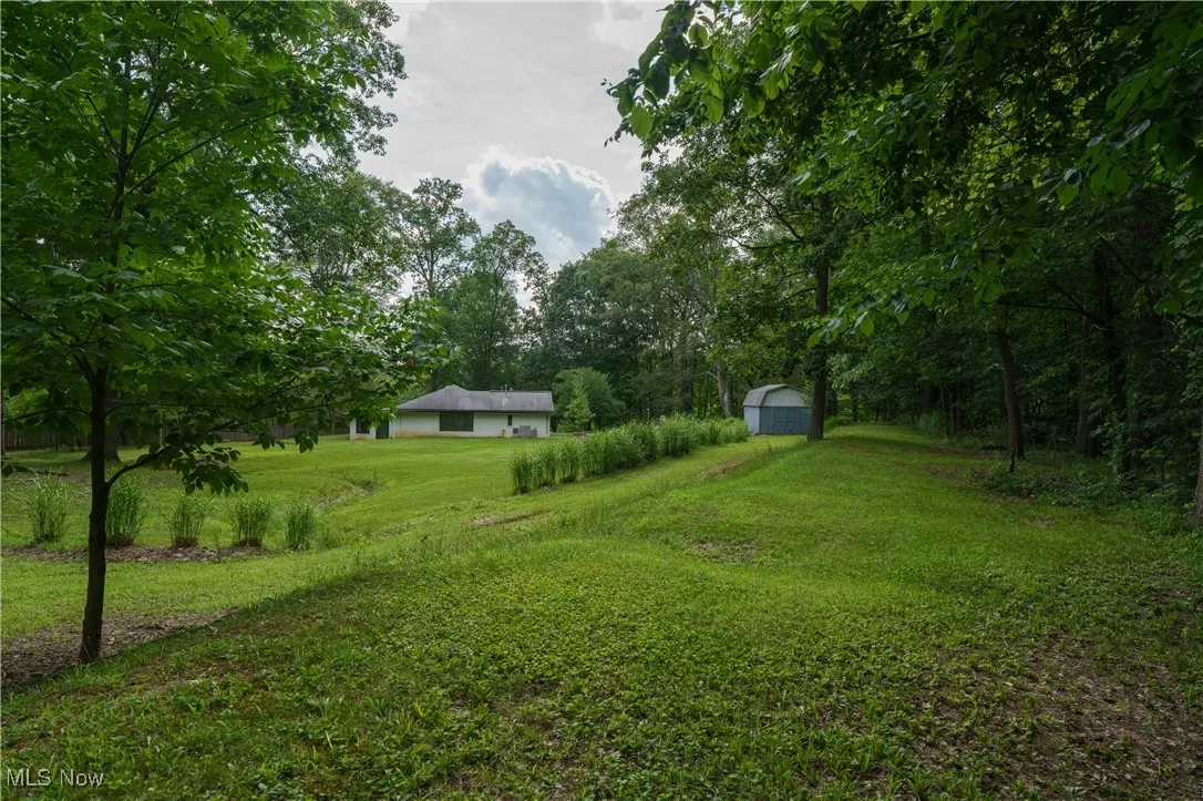 View of green lawn featuring a storage unit