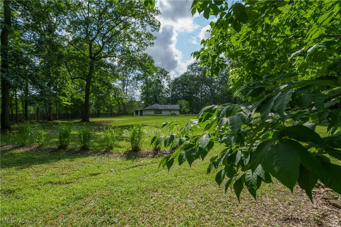 View of green lawn