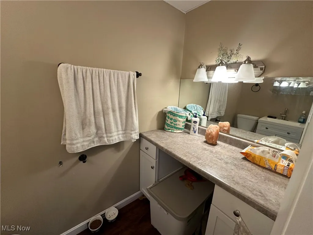 Bathroom featuring wood finished floors and vanity