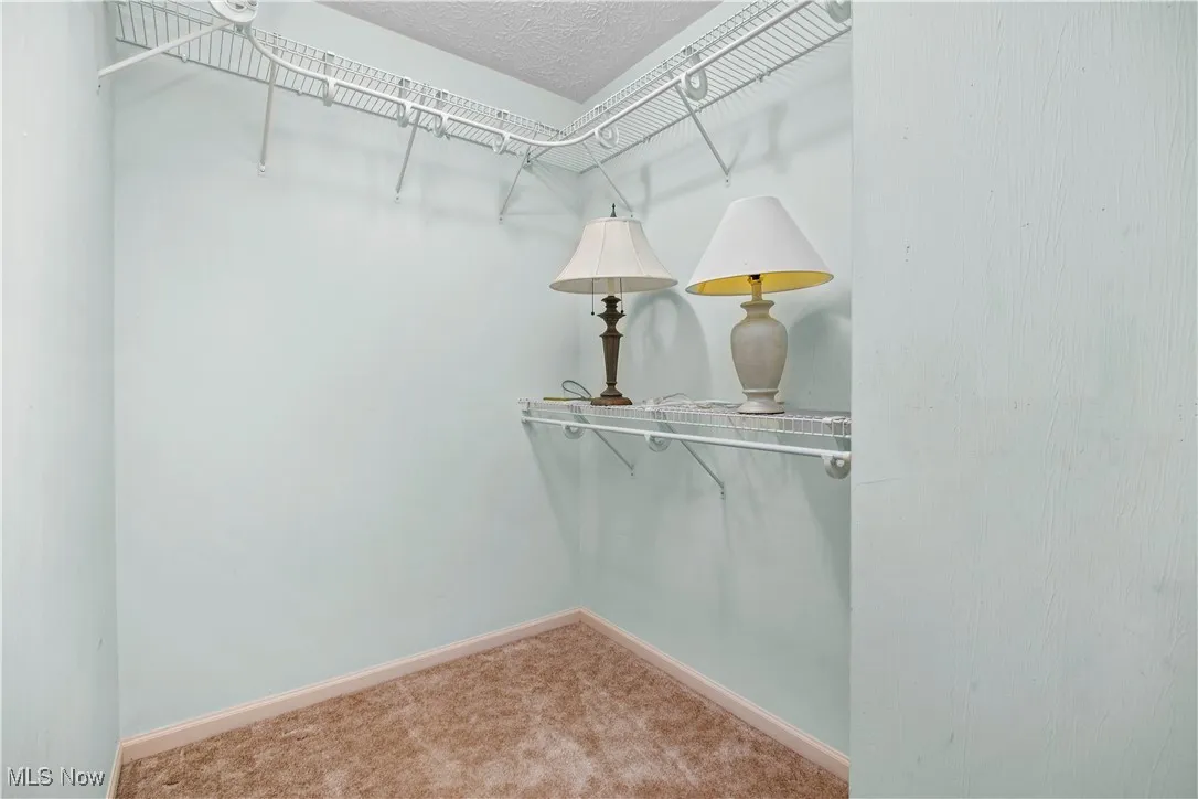 Walk in closet featuring carpet flooring