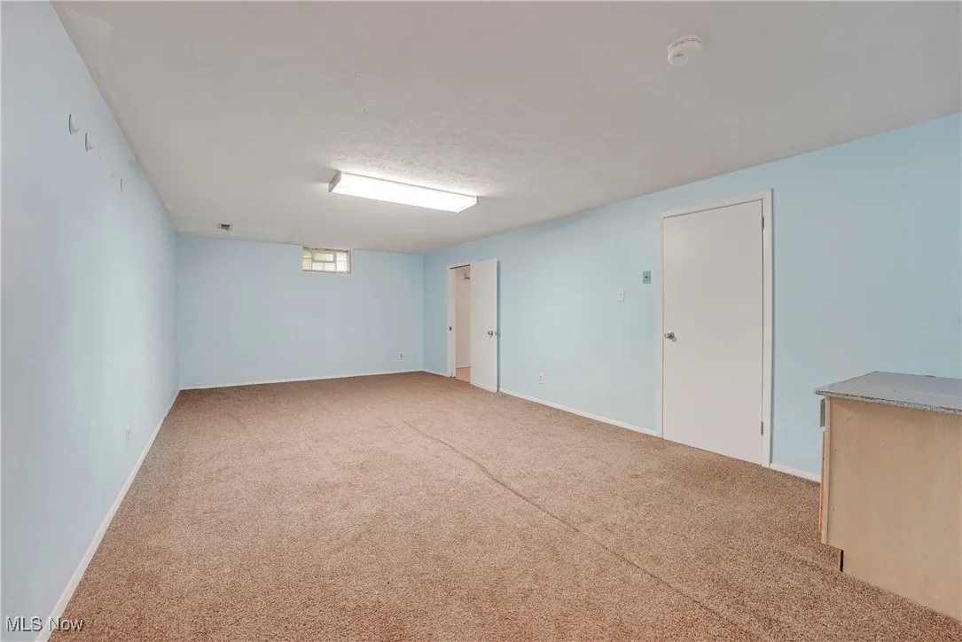 Finished lower level includes a large rec room with fresh carpet and a bonus flex room