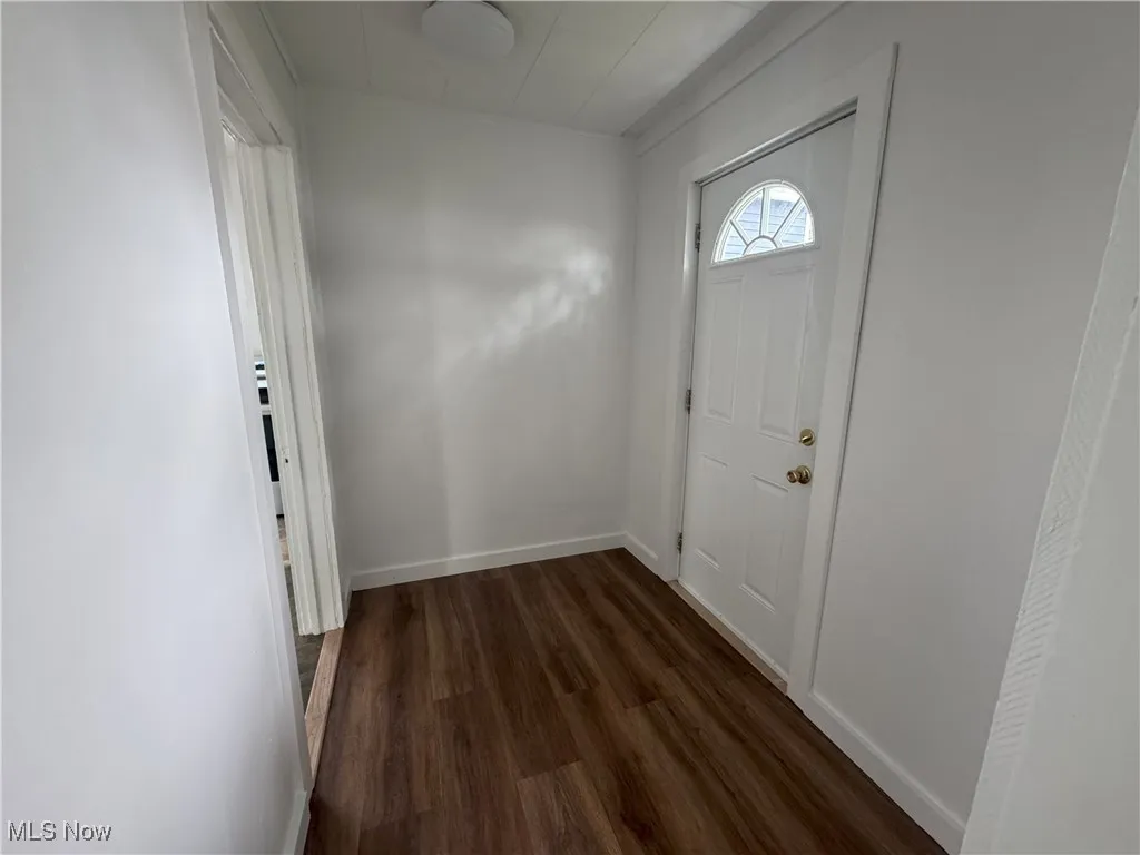 Entrance foyer featuring dark wood finished floors and baseboards