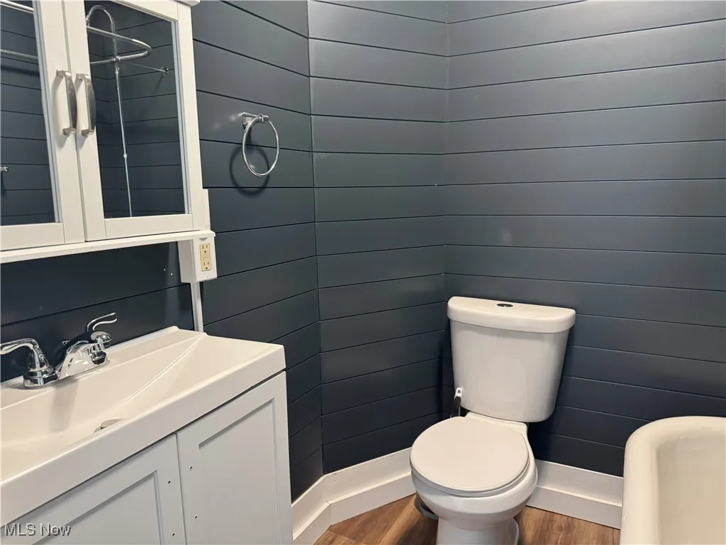 Bathroom featuring wood finished floors and vanity