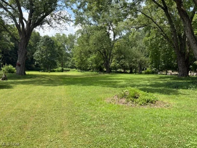 View of green lawn