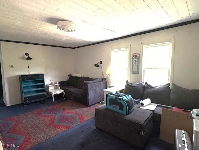 Living room featuring wood ceiling