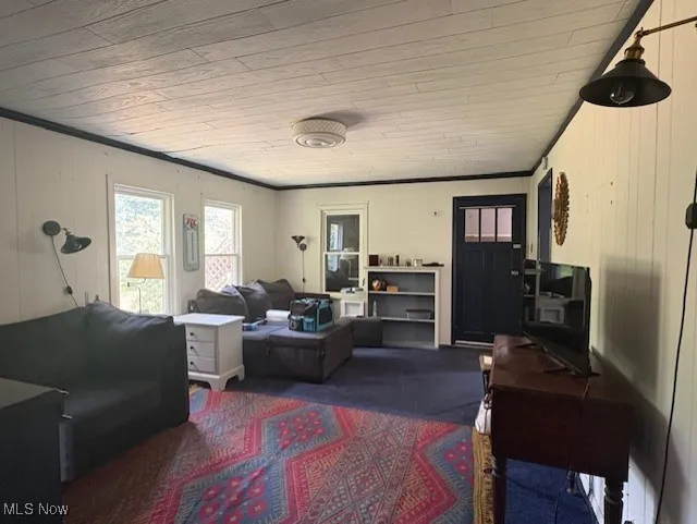 Carpeted living room with wooden ceiling and wood walls