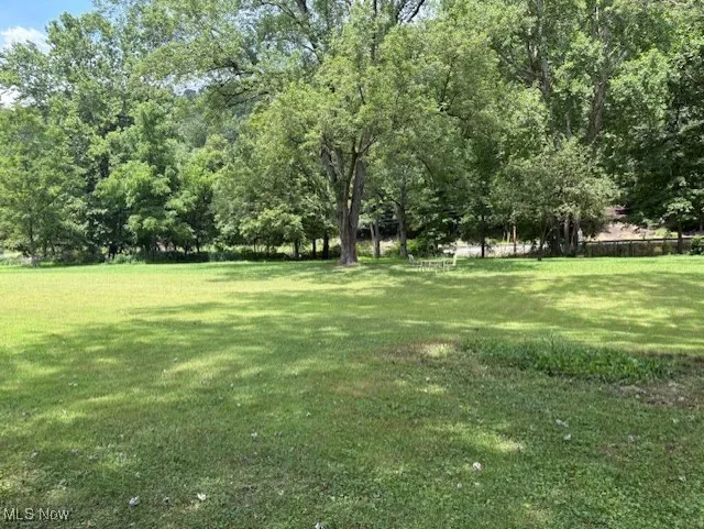 View of grassy yard