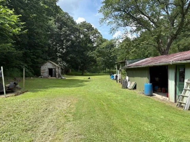 View of grassy yard featuring a shed
